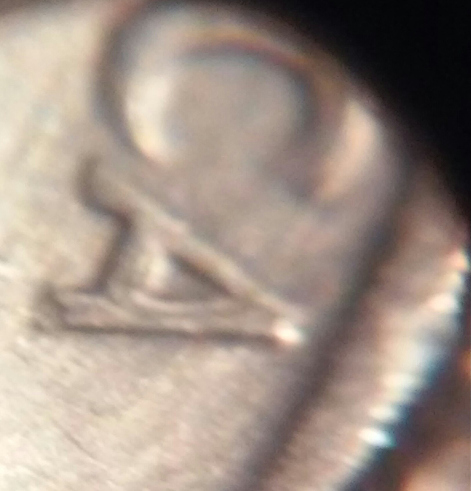 1972-P-P-And-D-Ike-Dollar-Master-Hub-DDR--Ddo-Worthless-?